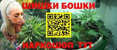 сатива Краснознаменск