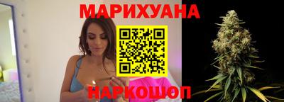 сатива Краснознаменск