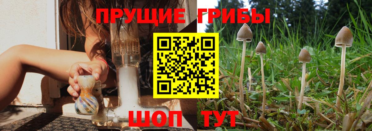 Конаково  Галлюциногенные грибы мицелий  Вход с VPN 